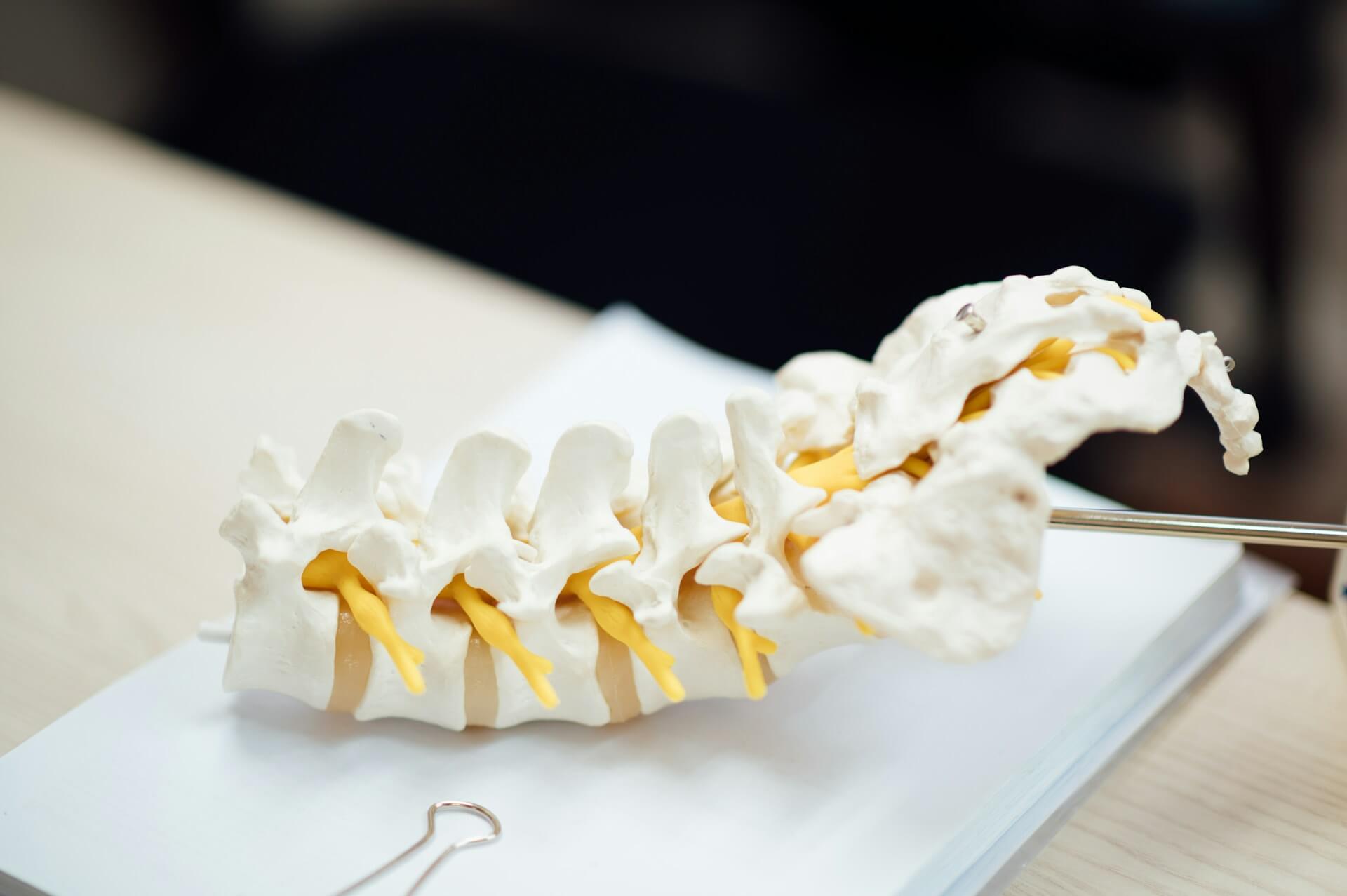Image of spinal decompression therapy for sciatica Bartonville IL treatment session