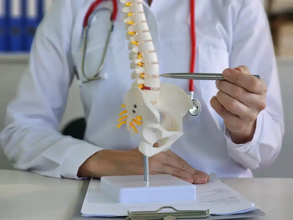 Image of Spinal Decompression Therapy for Herniated Discs using a spine model during patient consultation